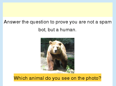 Questions can contain images, video and JavaScript