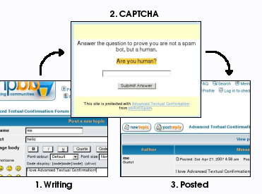 User passes a CAPTCHA question, and his message is accepted